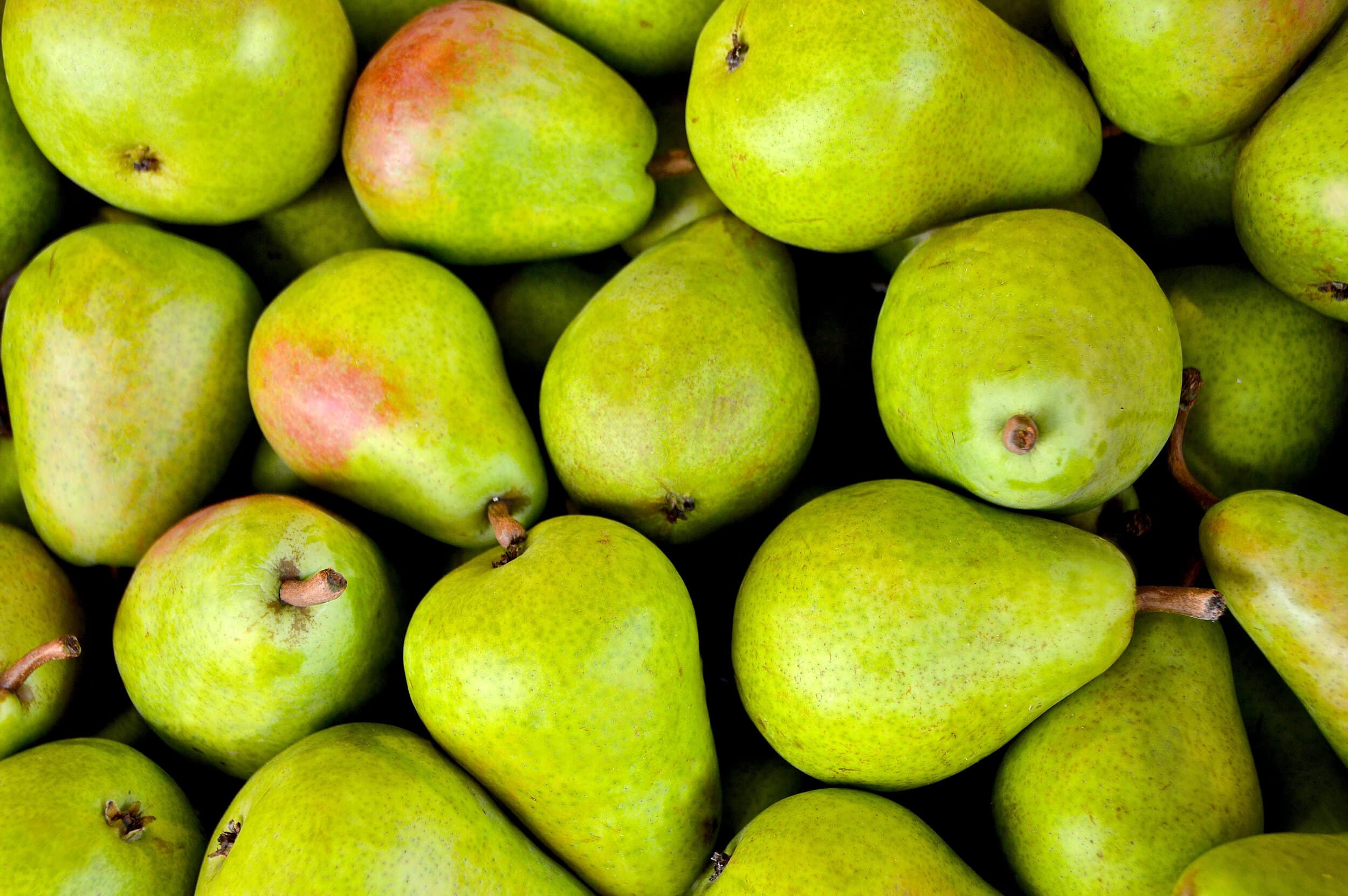 Canva - Pile of Pear Fruits (1).jpg