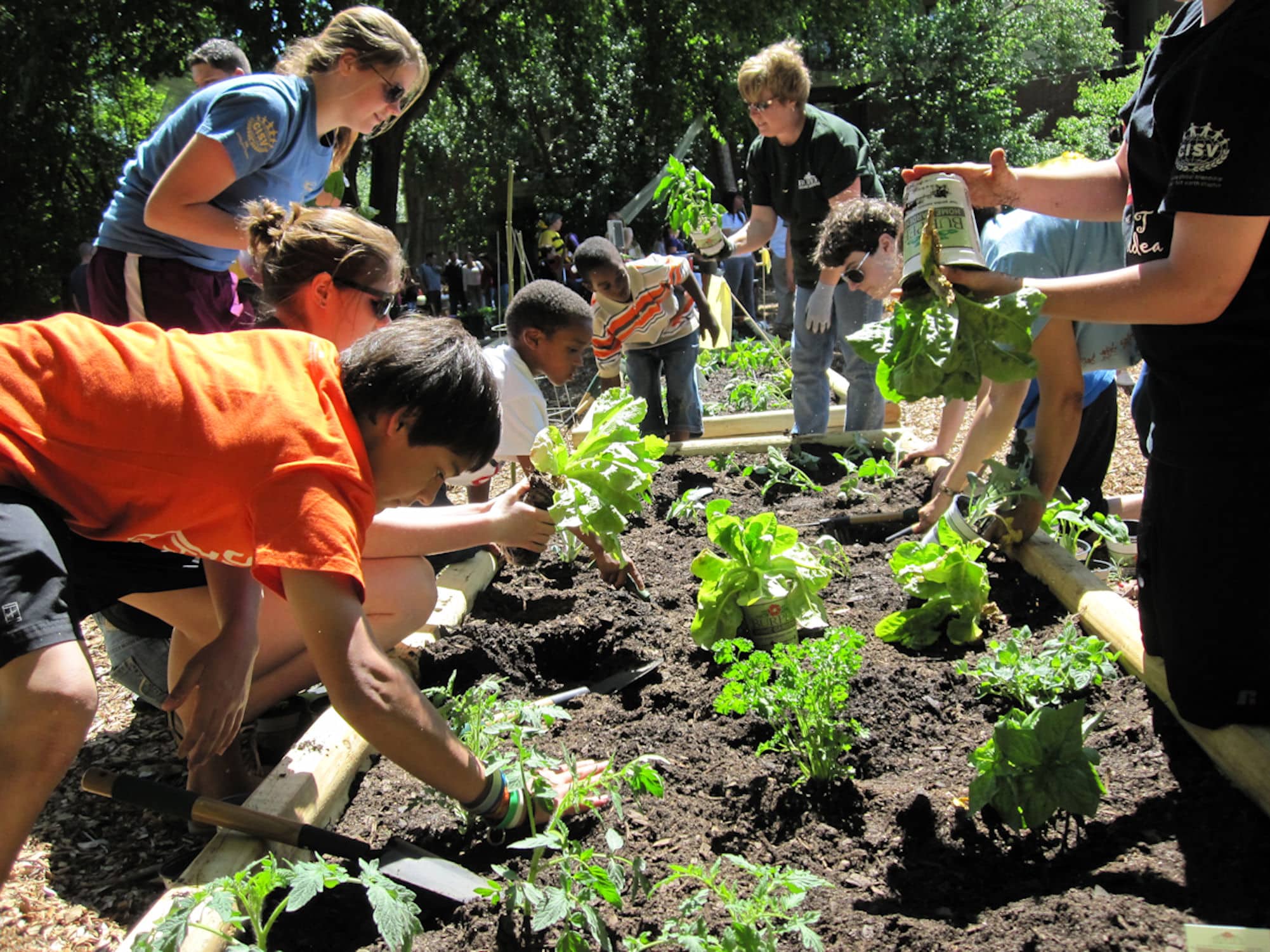 schoolgarden.jpg